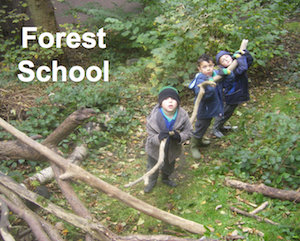 /live/qualifications/ITC Forest School first Aid .jpg